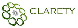 Clarety Consulting